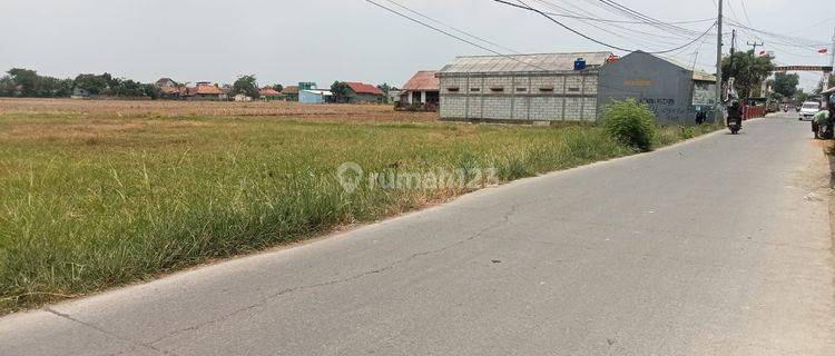 DIJUAL TANAH PINGGIR JALAN KARANGPAWITAN KARAWANG BARAT 1882 1