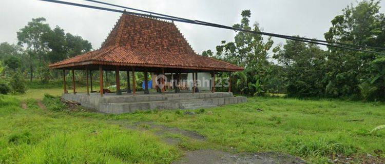 Tanah Luas Cocok Untuk Resto Dengan View Sawah / Pedesaan 1