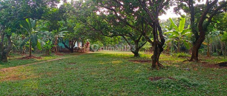 Tanah Disewakan Cepat di Ujung Aspal, Raya Hankam, Jatiranggon Pondok Gede 1