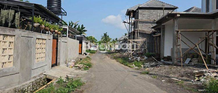 Rumah Indent Minimalist di Kediri Tabanan 1