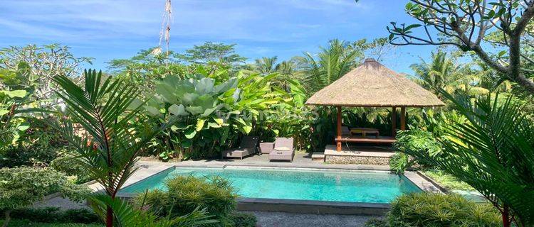 DO 08- Jual/ Sale Villa Murah View Sawah Di Ubud Gianyar Bali 1