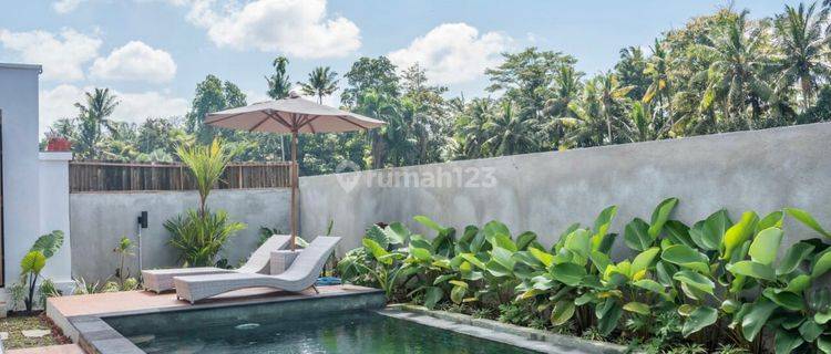 Do 27- Rent/ Sewa Villa Murah Di Ubud Gianyar Bali 1