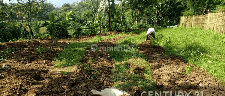 TANAH LUAS DAN STRATEGIS COCOK UNTUK BISNIS DI SUKABUMI 1