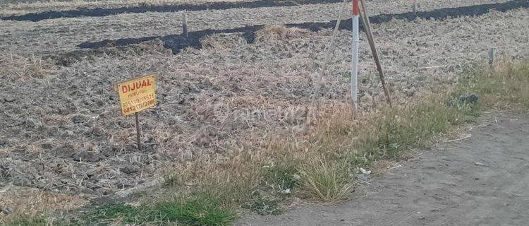 Dijual Tanah Kavling Hadijaya Desa Beton Menganti Gresik 1