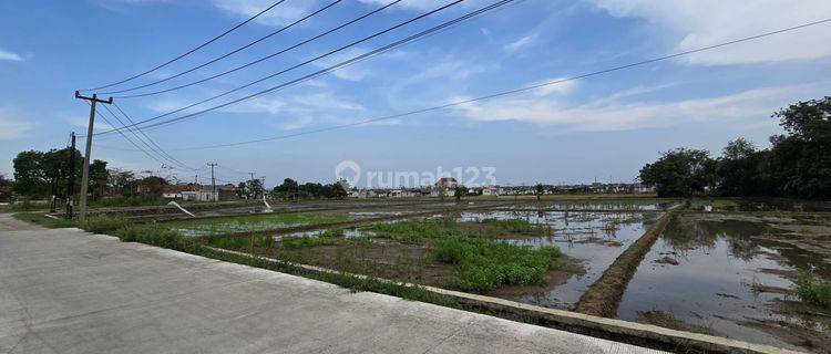 Tanah Sawah Boleh Split Karawang Timur Dekat Summarecon 1