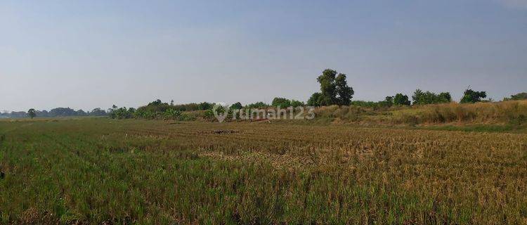 Dijual Tanah Luas Lokasi Strategis Bebas Banjir Di Karawang, Kota Bekasi 1