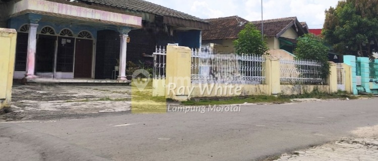 Dijual tanah bonus Bangunan terjangkau luas tanah 565m sultan agung 1