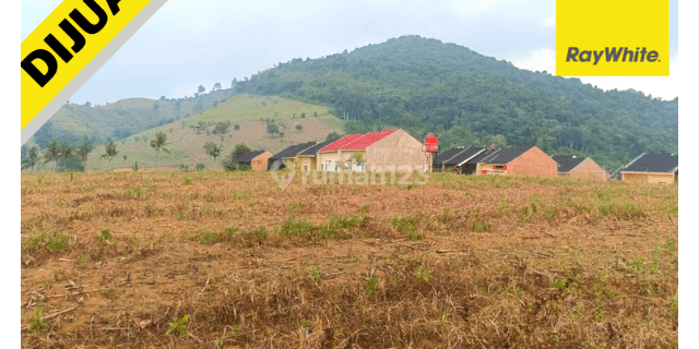 TANAH MURAH DI JL. PULAU SINGKEP LAMPUNG 1