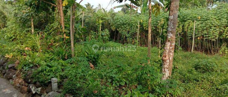 Tanah Pekarangan Murah Dekat Rsud Sleman, Cocok Untuk Hunian 1