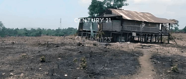 Tanah Siap Bangun Di Borong Sapiri Bontomanai Gowa 1