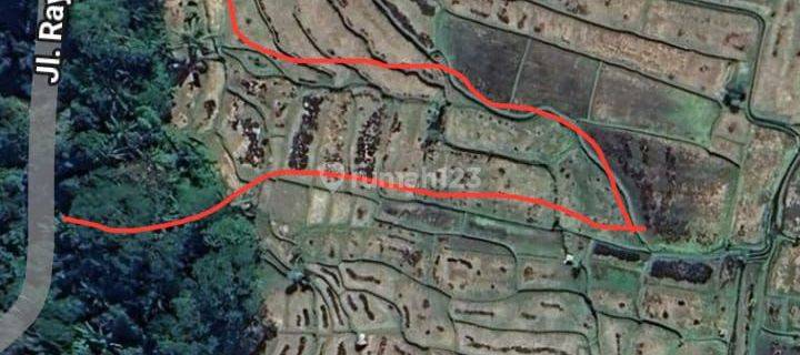 Global Land 62.75 are SHM Plantation and Green Area 1