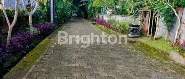 Tanah 2 Are Siapa Cepat Dia Dapat Di Jl Punggul, Abiansemal 1