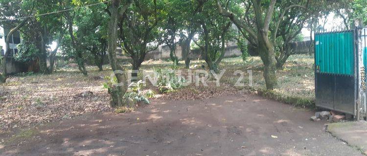Sebidang Tanah Di Jalan Baiti Salma Sawah Lama Ciputat 1