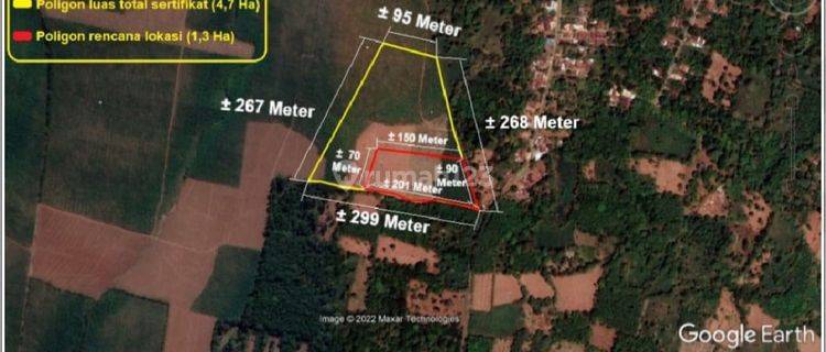 Tanah Kebun di Desa Karangsari Cocok Untuk Perkebunan  1