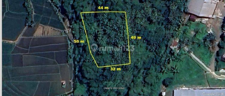 Dijual Tanah Kebun Kosong Lahan Kering di Desa Kaliaseh, Pemalang 1