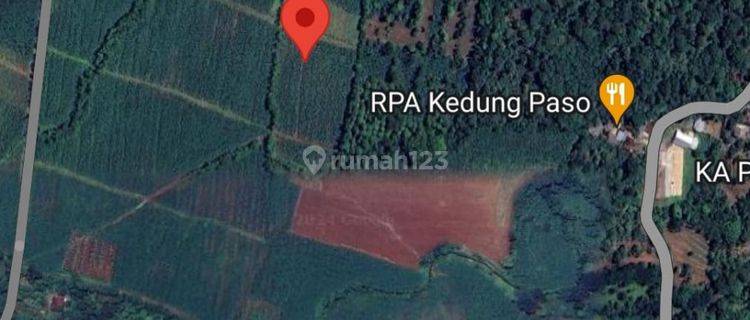 Jual Murah Tanah Kavling SHM 1000 M2 di Cluwak Pati 1