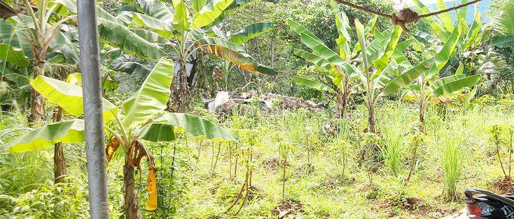 Gudang di Serua Depok Tanah Kotak Shm Dan Imb Lengkap 1