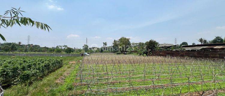 Tanah Murah Dekat Hiera Bsd Dan Dekat Jalan Raya 1