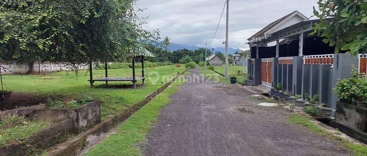 Dijual Tanah Kavling di Singaraja – Celukan Bawang, Mulai 200m², Harga Terjangkau, Akses Jalan 5 Meter 1