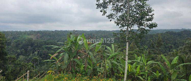 DIJUAL TANAH VIEW PANORAMA MURAH di Tabanan Bali 1