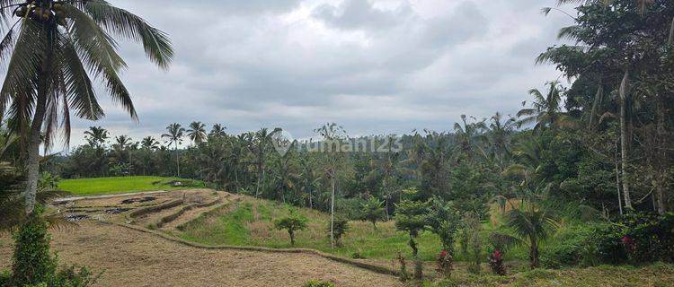 DIJUAL TANAH VIEW CANTIK MURAH di Penebel Tabanan Bali 1