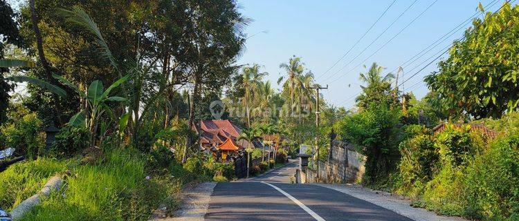 Tanah kebun murah view jugle di tabanan bali 1