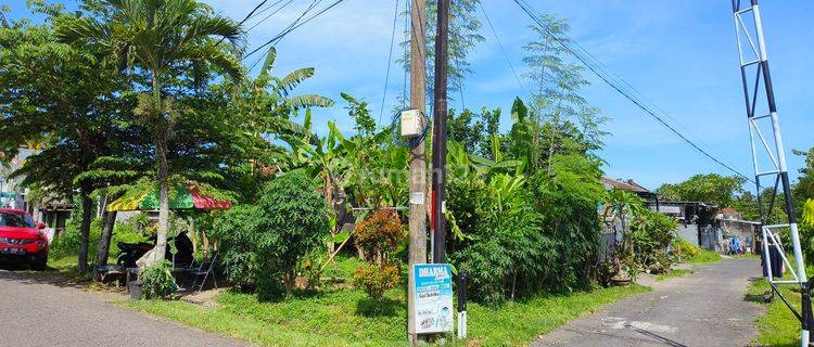 Tanah kapling murah datar di kediri tabanan bali 1