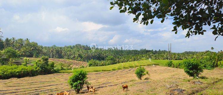 Tanah murah zona kuning view sawah dan bukit di bali 1