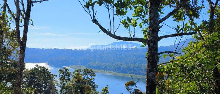 CHEAP LAND FOR SALE WITH MOUNTAIN LAKE VIEW IN MUNDUK BULELENG BALI 1