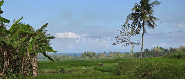 DIJUAL TANAH DEKAT PANTAI VIEW LAUT SAWAH DI KLATING BALI 1