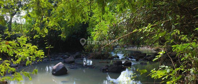 Dijual tanah los sungai dan view sawah di tabanan bali 1