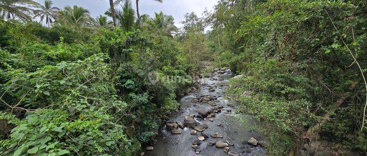 Dijual Tanah Murah Los Sungai Di Penebel Tabanan Bali 1