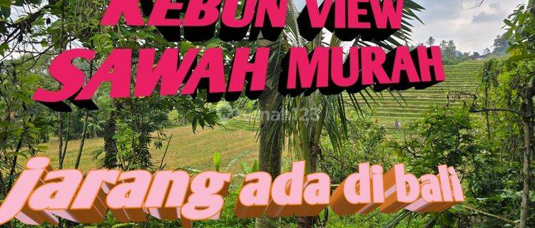 DIJUAL TANAH MURAH DENGAN VIEW SAWAH MEMBENTANG DI TABANAN BALI 1