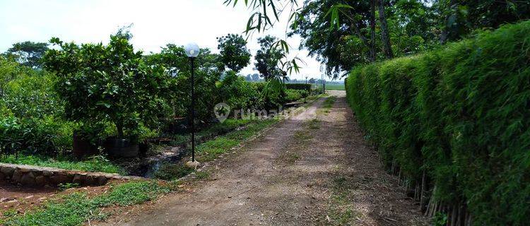 Tanah Pinggir Jalan Di Karawang Timur Shm 1