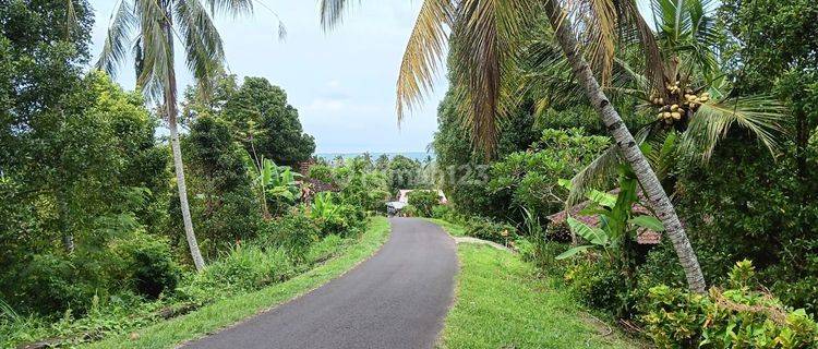 For Sale Land in tourist area, Bali Jembrana 1