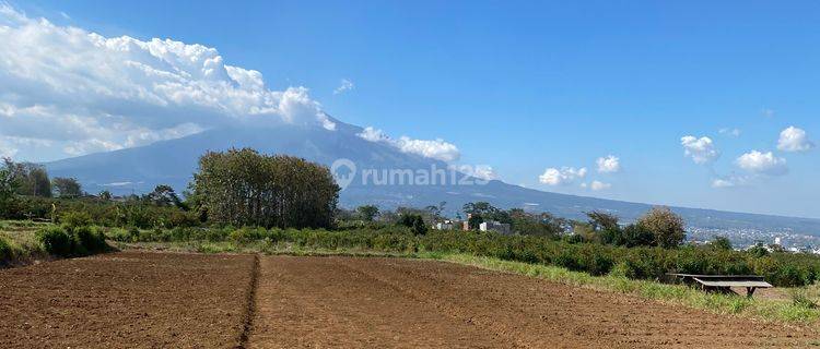 Tanah Kavling Area Perumahan Joyoagung Kota Malang Dekat Ub 1