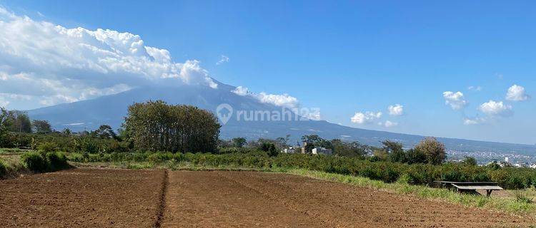 Tanah Hot Sale Tanah Murah Dekat Kampus Uin Kota Malang 1