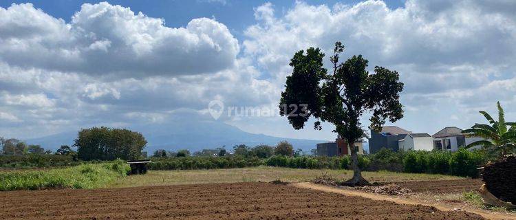 Tanah Murah Area Perumahan Joyoagung Kota Malang Dekat Brawijaya  1