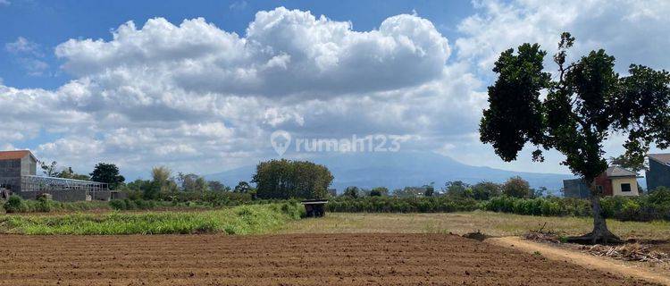 Tanah Hot Sale Tanah Murah Dekat Kampus Uin Kota Malang 1