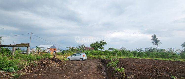 Tanah Murah Dijual Sumbersekar Dau Malang Alternatif Batu 1