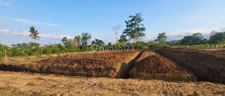 Tanah SHM Dijual di Malang Murah Lokasi Dau View Pegunungan 1