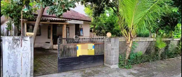 Disewakan Rumah Lokasi Premium Dkt Kali Kuning, Jl Wonosari. Hnf 1