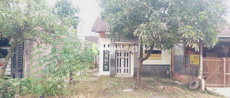 RUMAH BESERTA TANAH SUDAH PAGAR BUMI DI PUCANG GADING MRANGGEN DEMAK 1