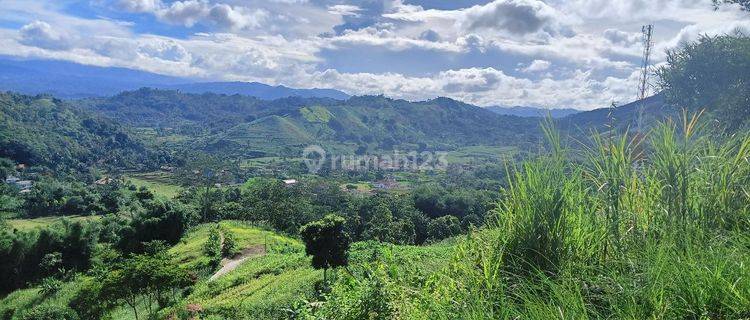 Tersedia 88 Unit Kavling Tanah Dekat Ikea Konsep Rumah Kebun 1