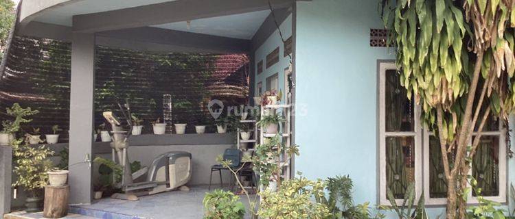 Rumah Dan Kos Kosan Dijual di Jl. Melati Pekanbaru 1