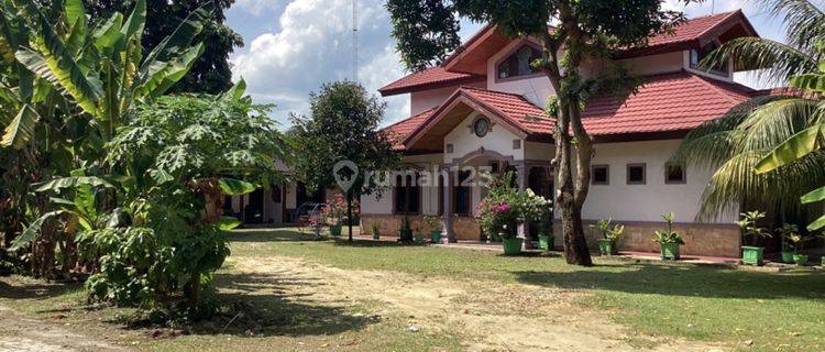 Rumah Dan Tanah Luas Dijual di Jl. Sotomo Pekanbaru 1