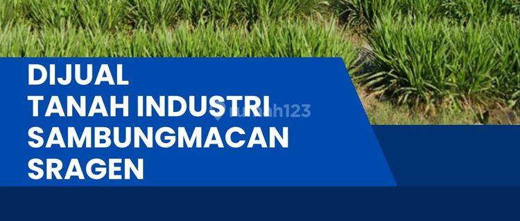 Dijual Bu Lahan Zona Industri 1,1 Ha Lokasi Sambungmacam Sragen  1