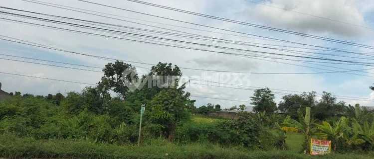 Industrial Zone Land Location Juwiring, Klaten Area 1.3 Hectares 1