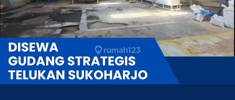 Disewakan Gudang Industri 6000m2 Lokasi Grogol,sukoharjo  1