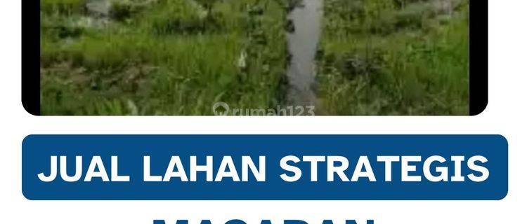 Dijual Tanah Pekarangan Strategis 1 Ha Non Limbah Masaran,sragen 1